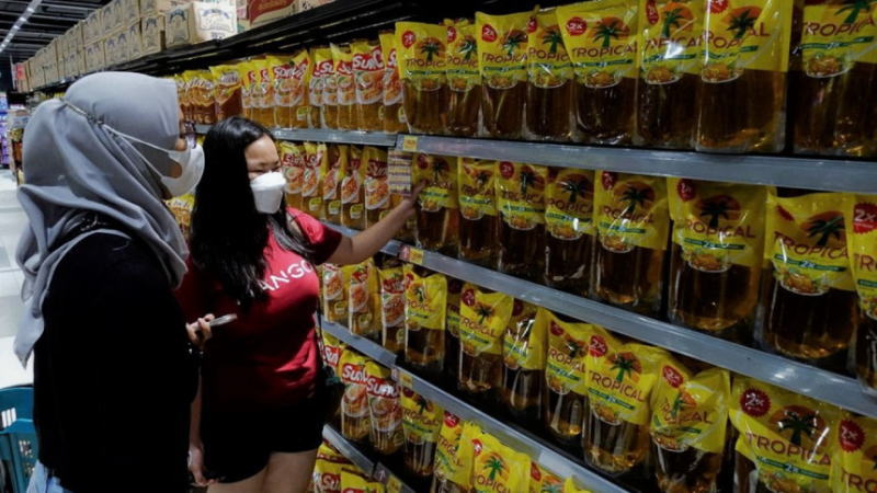 隨著印尼大幅下調(diào)出口稅，棕櫚油期貨下行壓力加劇