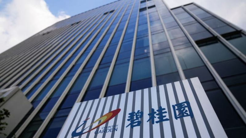 碧桂園12月銷售額同比大幅下滑而環(huán)比反彈