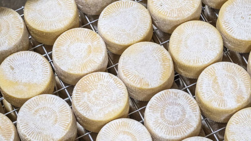爭端升級！中國宣布對歐盟乳制品行業(yè)展開反補貼調查
