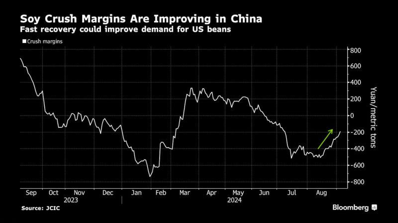 看多看空油價(jià)走勢(shì)的比例，彭博原油走勢(shì)調(diào)查，Bloomberg原油調(diào)查，原油走勢(shì)調(diào)查，原油多空分析，原油周策略，原油周報(bào)，國(guó)際油價(jià)下周怎么走，看多看空國(guó)際油價(jià)