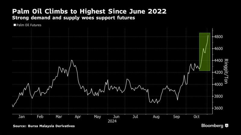 看多看空油價(jià)走勢的比例，彭博原油走勢調(diào)查，Bloomberg原油調(diào)查，原油走勢調(diào)查，原油多空分析，原油周策略，原油周報(bào)，國際油價(jià)下周怎么走，看多看空國際油價(jià)