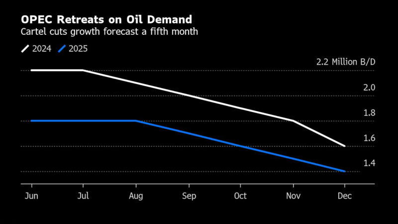 OPEC連續(xù)五個月下調(diào)了石油需求增長預(yù)測