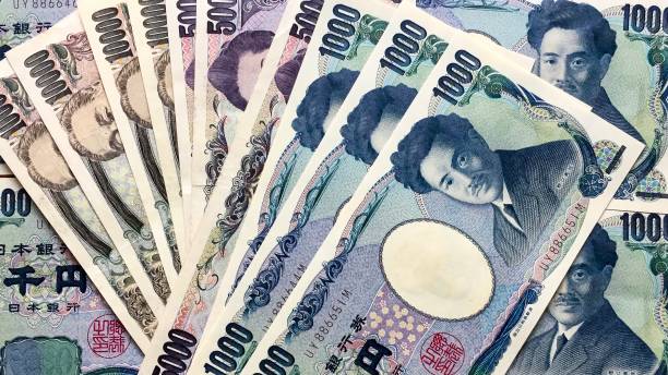日本財務(wù)大臣對日元的快速下跌發(fā)出警告